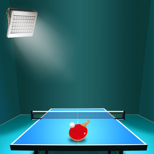 Table Tennis Lights